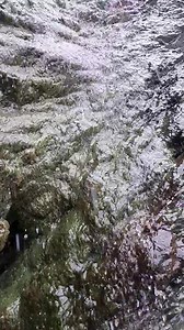 Afternoon Everybody Slow mo of the mini water fall | MR FISH