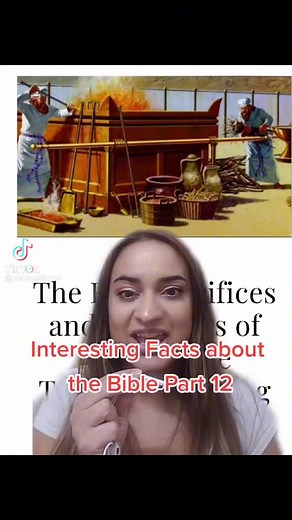 Kallikak (@kallikak)’s videos with original sound - Kallikak