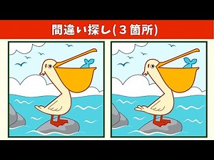 Spot the 3 Differences | Illustration Version #922