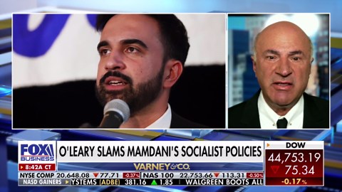 Elon Musk needs to understand that you need to 'give and take' in politics: Kevin O'Leary