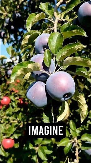 One in a Million Blue Apple! 🍏💙 #facts #science #didyouknow