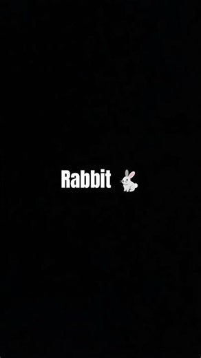 #my cute 🥰 rabbit 🐇name- bunny
