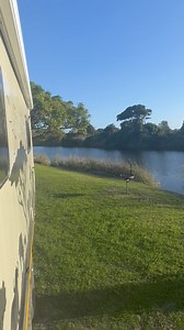 The ‘Ebb and Flow’ campsite in Wilderness | The Buffalo Overlander