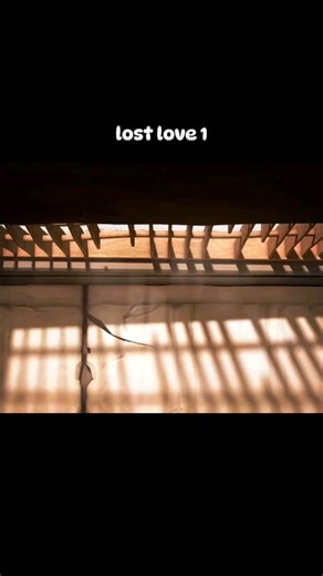 Larva on Instagram: "Lost love 1 #larva #cartoon #larvacartoon #larvae #episode #explore #fypp #larvatimes"