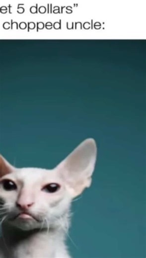 Chopped Unc on Instagram: "Friday… 7:30pm est be there or be square…. https://discord.gg/NQRfqpXD #stellaris #stellarisgame #4x #scifi #paradox #stellarismeme #stellarisconsoleedition #eu4 #hoi4 #midgamecrisis"