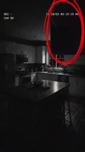 Poltergeist caught on kitchen CCTV 🚪👻 #cctv #poltergeist