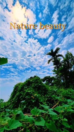 Natural Beauty Hacks: Enhance Your Glow with Simple Tips