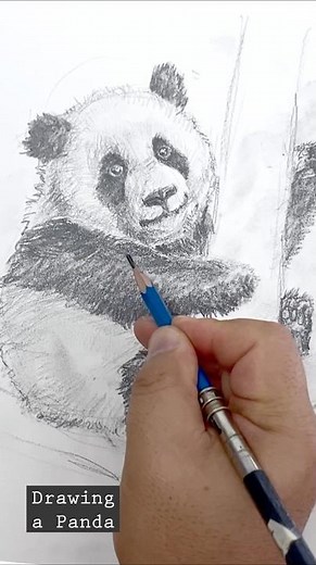 🚀 Realistic Panda Fur Texture with Pencil | Easy Pencil Sketch Drawing Tutorial (Beginner Friendly)