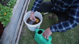 How To Make Your Own Homemade Liquid Fertiliser With Manures And Green Waste. Fermented brews like these can pack a punch, and think I had a bit too much, causing a maths meltdown when explaining it all, here’s the simple version: To make the brew: 1 part solids (Superfood, manures, green waste) to 10 parts water. To feed your garden: Take that mix and dilute it again, 10 parts water to 1 part of your fermented liquid. Real People, Real Gardens, Real Food! www.vasilisgarden.com Maresi! 👍 #growi
