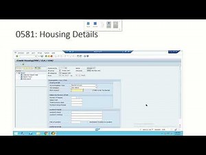 25 SAP HCM Payroll Infotypes