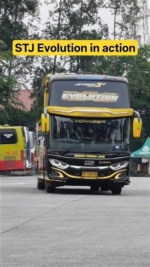Bus STJ nick name "evolution" #shorts #stj #sudirotunggajaya