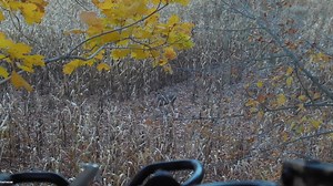 Some epic slow-motion crossbow action. Check it out! 📹 via Ryan Bauer | Tactacam