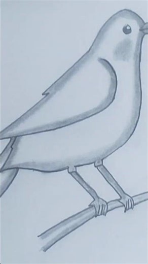 Simple Bird Drawing 🐦 | Easy Pencil Sketch