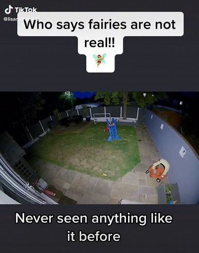 Real Life Fairy Encounters: Caught on Camera