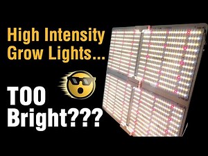 Super Bright LED Grow Lights Replace High Watt HPS -Best Value: Spider Farmer Dimmable SF4000 Review