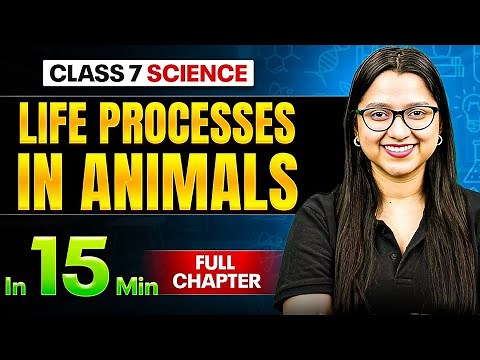 Life Processes in Animals Science Class 7 || Complete Chapter In 15 Minutes 🎯