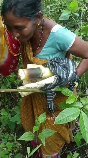 Bamboo Shoots సేకరణ - Tribal Traditional Style | PPM Manyam Forest Life | #bamboo