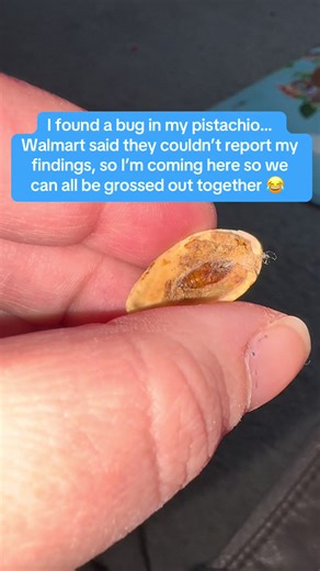 Welp… I won’t be eating these for a while now lol #walmart #bug #buginfood #yuck #ew