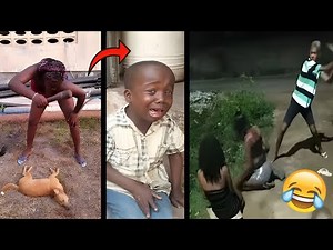 100 Best Funniest Videos of 2025 – Try Not to Laugh (02)