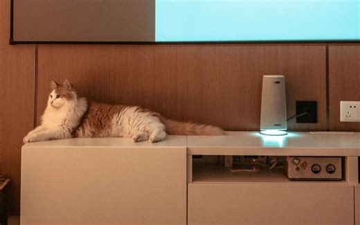 奥林巴斯log lut对比