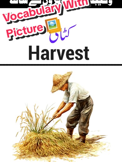 Learn Vocabulary with Pictures for Better English