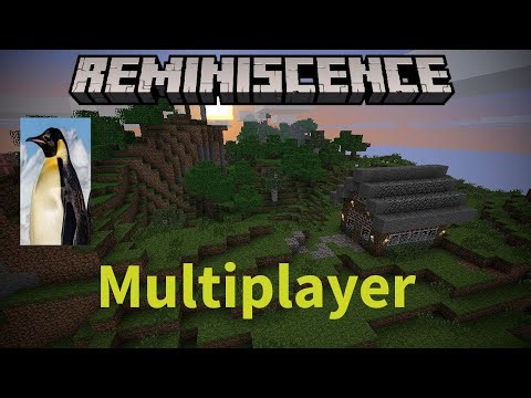 Minecraft Beta Modpack Reminiscence With a Friend