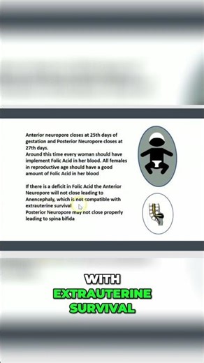 Folic Acid Deficiency: Risks of Anencephaly and Spina Bifida #shorts