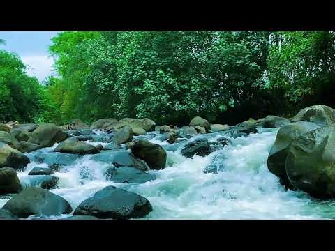 Natural River Sounds for Insomnia Relief | Relaxing River Flow • No Music