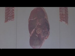 The Great Outdoors (1988) Old '96er