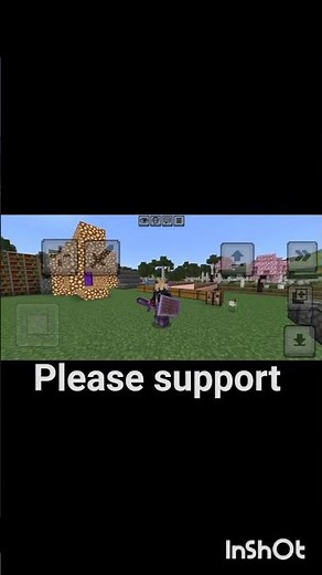 Minecraft Java edition mod