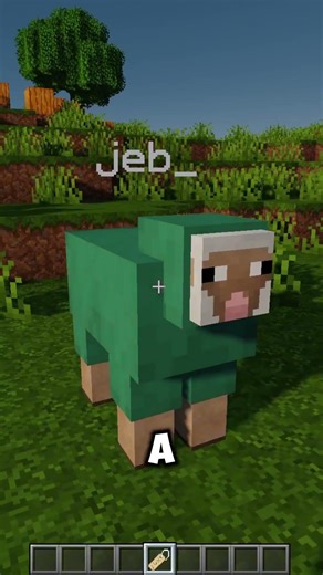 OS NOMES ESCONDIDOS DA ETIQUETA!! #minecraft #viral #minecraftcuriosidades #etiquetaminecraft