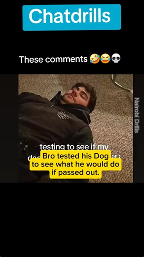 Dog Saves Life: Heartwarming CPR Moment