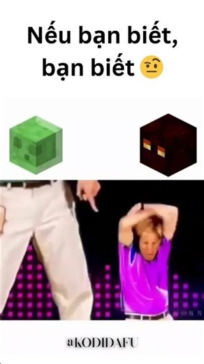 Là gì nhỉ ??? 👶 #minecraft #mememinecraft