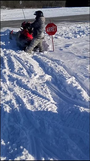 Thrilling Yamaha RX1 Snowmobile Skidoo Fossé Video