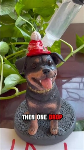 He Added Water… Now It’s a REAL Rottweiler?! 😳🐶 Watch Again