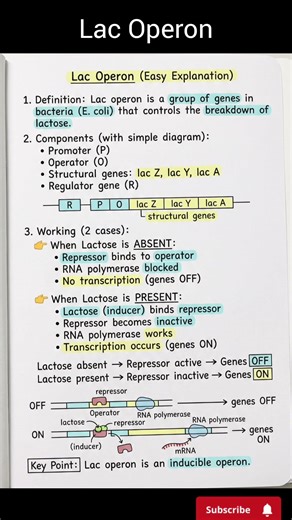 Lac Operon Easy Notes# NEET 2026#most important #biology #Gene Regulations