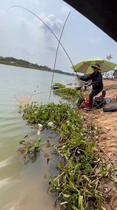 មួយនេះខ្នាតហើយ | Hongly Solo Fishing Shop