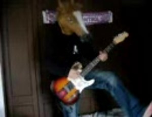 FUZZY CONTROL　インドア風チキン　演奏してみた