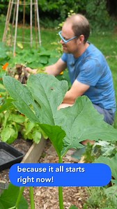 6K views · 174 reactions | Winter is garden planning time! Get started with the Garden Planner: Almanac.com/planner | The Old Farmers Almanac | Facebook