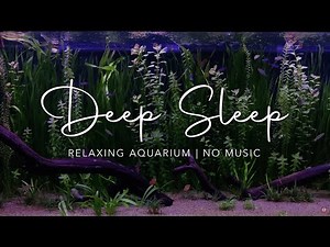4K TV Moonlit Aquarium 🐠🌘 Aquarium with low light to sleep (no music)