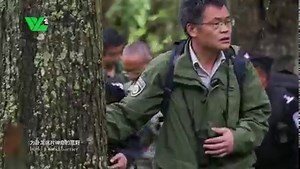 Take an online tour of the “Panda Kingdom” in Sichuan “熊猫王国”卧龙自然保护区 Wolong National Nature Reserve, known as the “Panda Kingdom”, is located in the high mountains of Southwest China’s #Sichuan province. It’s a national comprehensive nature reserve that mainly protects rare wildlife and the alpine forest. Wolong nature reserve has served as a protection area for pandas since 1963, the earliest of its kind in China. It was inscribed to the UNESCO World Natural Heritage list in 2006. Let’s check ou