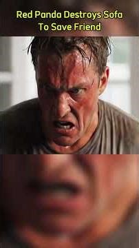 Owner Screams At Hero Red Panda For Destroying Expensive Sofa Until He Saw The Truth