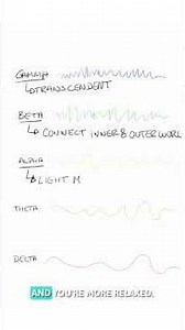 The brain cycles through different frequencies throughout the day.