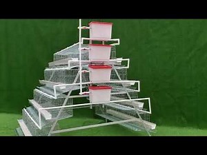 4 Tiers Layer Chicken Cage