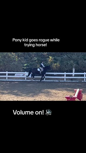 Has talent, needs direction? #horses #jumper #horsetok #equestrian #ponykid #crazy #offcourse #goodhorse #fyp