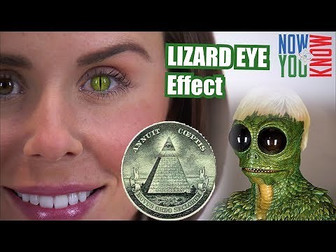 How to Create a Reptilian Eye Effect in Adobe Premiere - VLearning