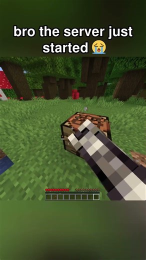 click the sound it, gives me money 🤑 #minecraft #memes #funny #gaming