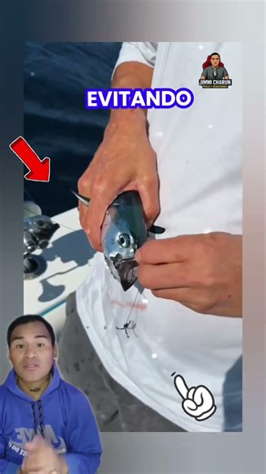 How to keep fish alive