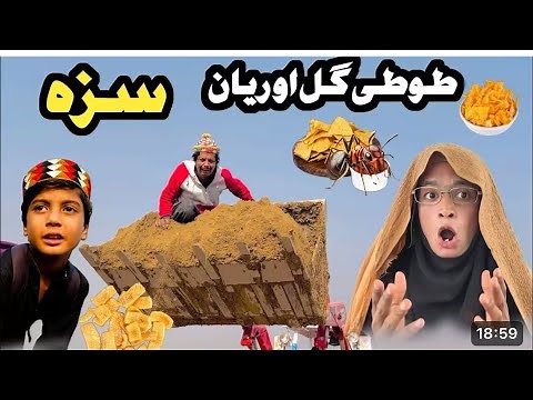 Tuti Gull Ao Reyan Saza || New Funny Video 2024 By Tuti Gull Official