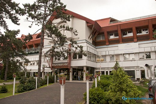 Aquaticum Debrecen Mediterrán Élményfürdő és Termálfürdő - Termalfurdok.com